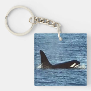 Personlig Vattumannet Orca West Coast Community