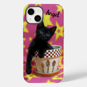 Personlig Växla ett Kitten-telefonärende