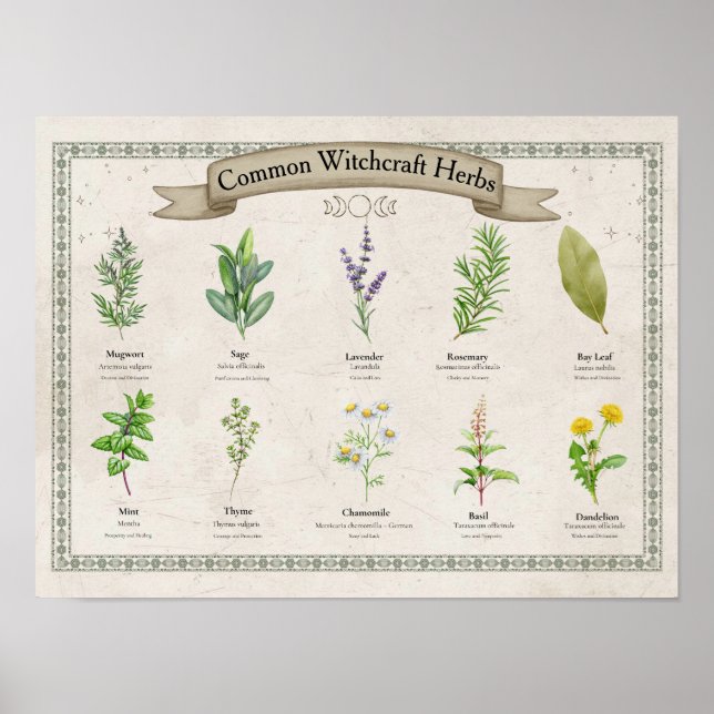 Personlig Vintage Botanisk Örtkarta Poster (Framsidan)