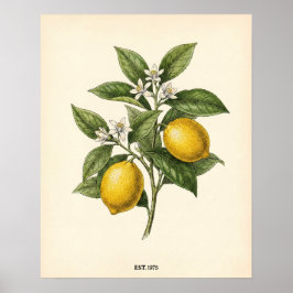 Personlig Vintage Citron Botanisk Farmhouse Kit Poster