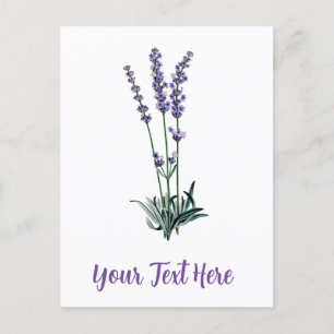 Personlig Vintage Lavender Flower Vykort