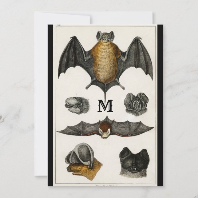 Personlig vintageillustration presentknapp för fla inbjudningar (Framsida)