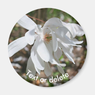 Personlig vit magnoliablomma magnet