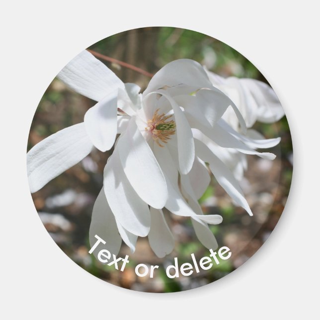 Personlig vit magnoliablomma magnet (Framsidan)
