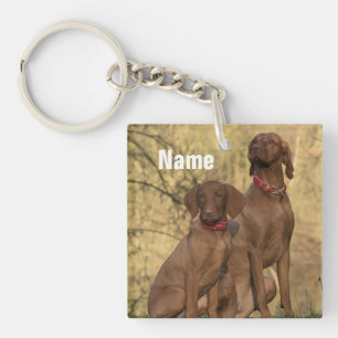 Personlig Vizsla Hound Hundar