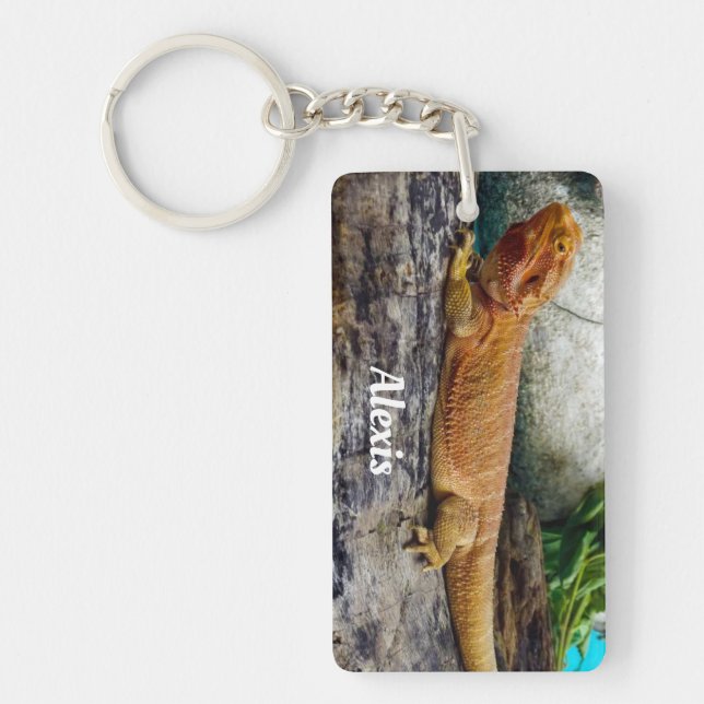 Personlig Vuxen Beared Dragon Lizard (Framsidan)