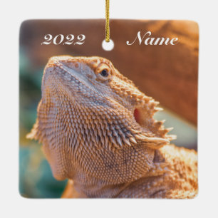 Personlig Vuxen Beared Dragon Lizard Julgransprydnad Keramik