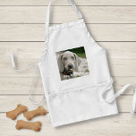 Personlig Weimaraner Hund Photo och Hund Namn Förkläde<br><div class="desc">Personlig Weimaraner-Hund Photo and Weimaraner Hund-designen har ett uppladdat foto av din Weimaraner (eller något foto) i hund namn eller lägg till din egen text - Vi kärlek "hund's Namn", namn's födelsedag eller överlämningsdag. Klicka bara på "anpassa" om du vill lägga till personligen, ändra teckensnittet och färg och lägga till...</div>