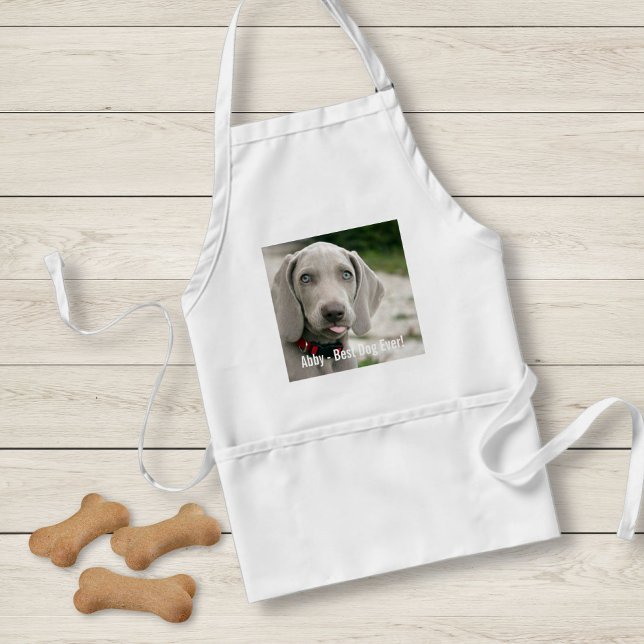 Personlig Weimaraner Hund Photo och Hund Namn Förkläde (Skapare uppladdad)