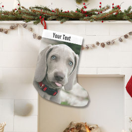 Personlig Weimaraner Hund Photo och Hund Namn Liten Julstrumpa
