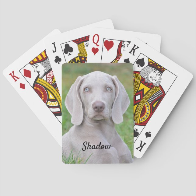 Personlig Weimaraner Puppy Hund Casinokort (Baksidan)
