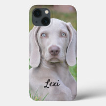 Personlig Weimaraner Valp Hund