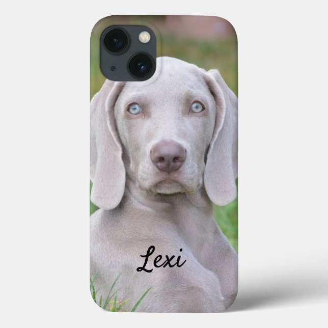 Personlig Weimaraner Valp Hund (Baksida)