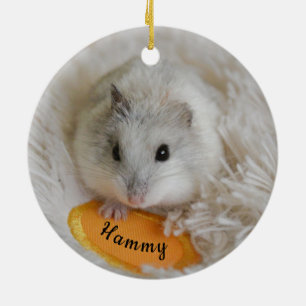 Personlig White Dwarf Hamster Pet Julgransprydnad Keramik