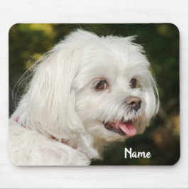 Personlig White Maltese Puppy Hund Musmatta