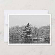 Personlig Winter Evergreen i svart och vitt