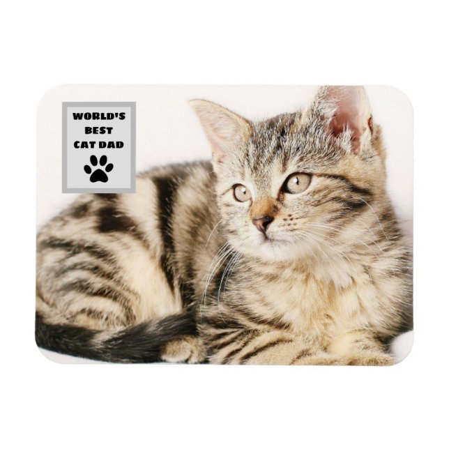 Personlig World's Best Cat Pappa Anpassningsbar Ph Magnet (Horisontell)