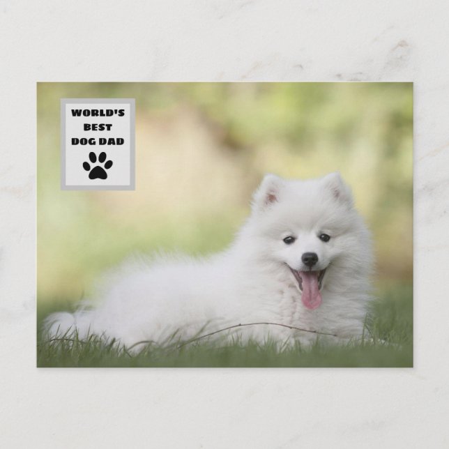 Personlig World's Best Hund Anpassningsbar Photo Helg Vykort (Framsida)