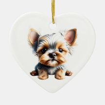 Personlig Yorkshire Terrier Puppy