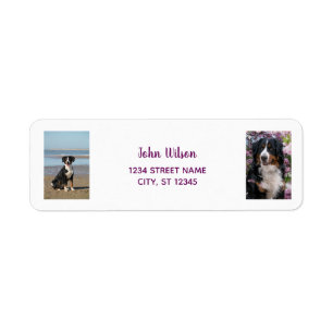 Personliga foton med modern hund returadress etikett