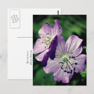 Personliga Lavendelpelargonblommor Vykort