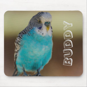 Personligblått Budgie Mousepad Musmatta