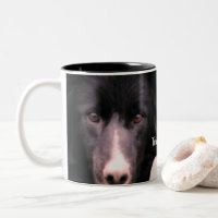 Personligen Black Gräns Collie Ansikte