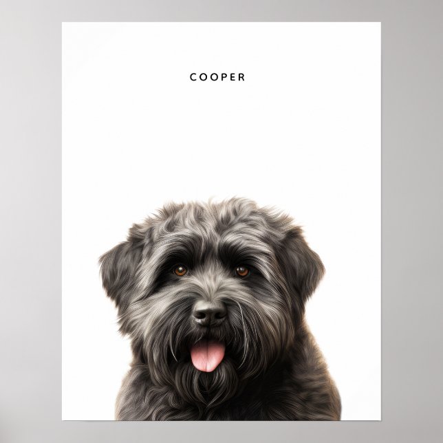 Personligen Bouvier Des Flandres Skriv ut Poster (Framsidan)