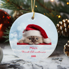 Personligen Cute Ragdoll Cat Santa Hat Tass Snö Julgransprydnad Keramik