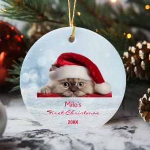 Personligen Cute Ragdoll Cat Santa Hat Tass Snö Julgransprydnad Keramik