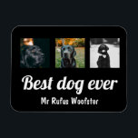 Personligen Foto och Anpassningsbar Magnet<br><div class="desc">Lägg till ett eget foto och en egen text i det här anpassadet magnet,  personlig till kostym med dina behov från Ricaso</div>