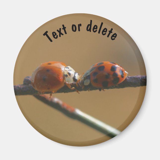 Personligen Kissing Ladybugs Nature Magnet (Framsidan)