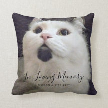 Personligen Loving Memory Cat Memorial Photo