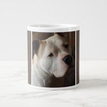 Personligen Mina bästa vänner Pet-Hund - foto