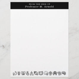 Personligen Modern Human Anatomy Science Sketch Brevhuvud