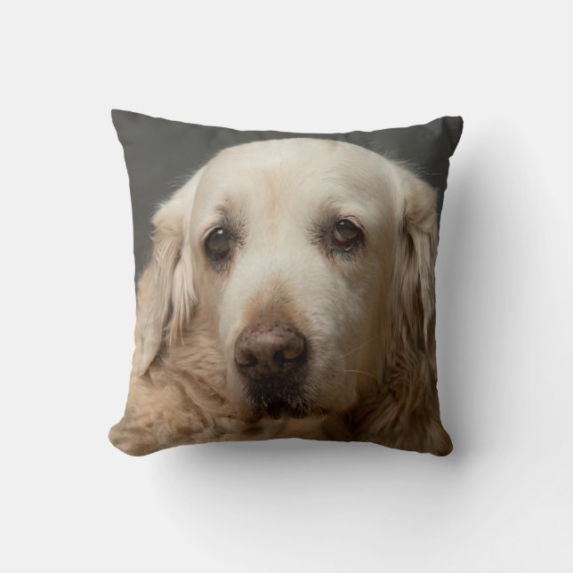 Personligen Pet Photo Reversible Kudde (Framsida)