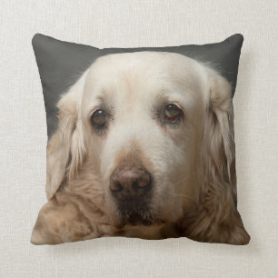 Personligen Pet Photo Reversible Kudde