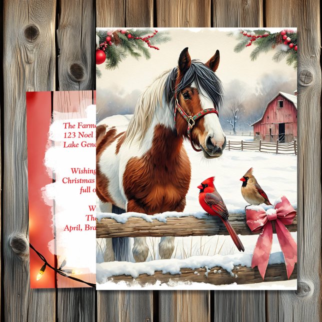 Personligen Pinto Horse and Cardinals Vykort (Skapare uppladdad)