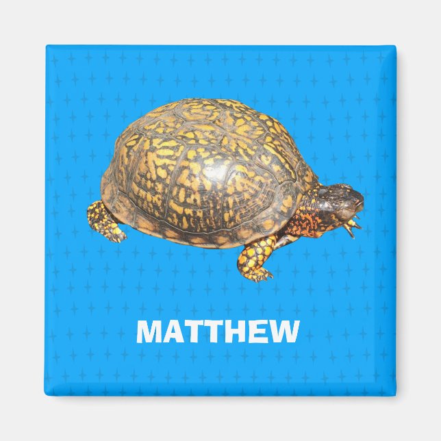 Personligen Turtle Photo östra Box Magnet (Framsidan)