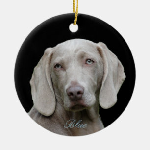Personligfoto med blått synade Weimaraner Julgransprydnad Keramik
