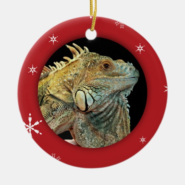 Personligleguan/älsklings- fotohelgdag julgransprydnad keramik (Framsidan)