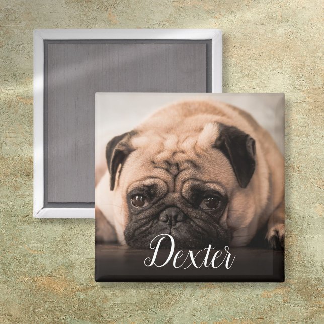 Personligt hund katt husdjur foto manus namn magnet (Personalized Dog Cat Pet Photo Script Name Magnet)