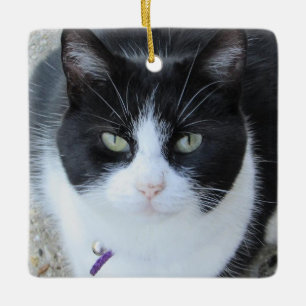 Personligt kattfoto med Namn och år Julgransprydnad Keramik