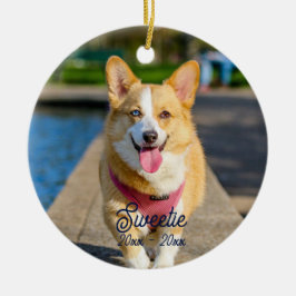 Personligt minne Katt Hund foto Julgransprydnad Keramik