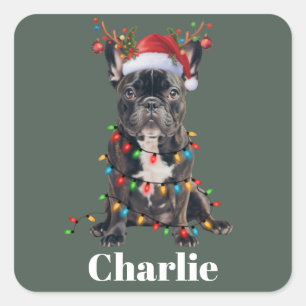 Personligt Namn Jul Fransk Bulldog Hund Fyrkantigt Klistermärke