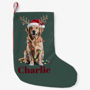 Personligt Namn Jul Golden Retriever Hund Liten Julstrumpa