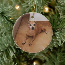 Personligt Namn Och Foto Husdjur Minnesmärke Julgransprydnad Keramik