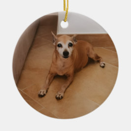 Personligt Namn Och Foto Husdjur Minnesmärke Julgransprydnad Keramik