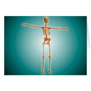 Perspektiv beskådar av Skeletal system för Hälsningskort