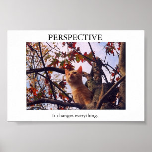 Perspektiv Poster